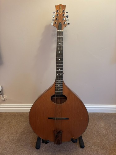 Octave mandolin with hard - hard, case