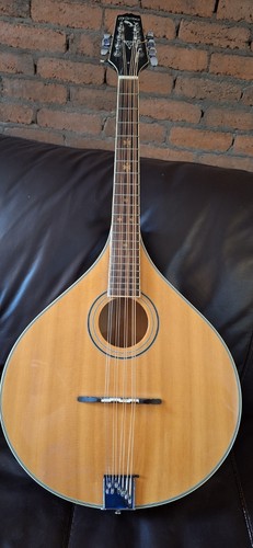 Mcbrides electric mandola - mcbrides, lh